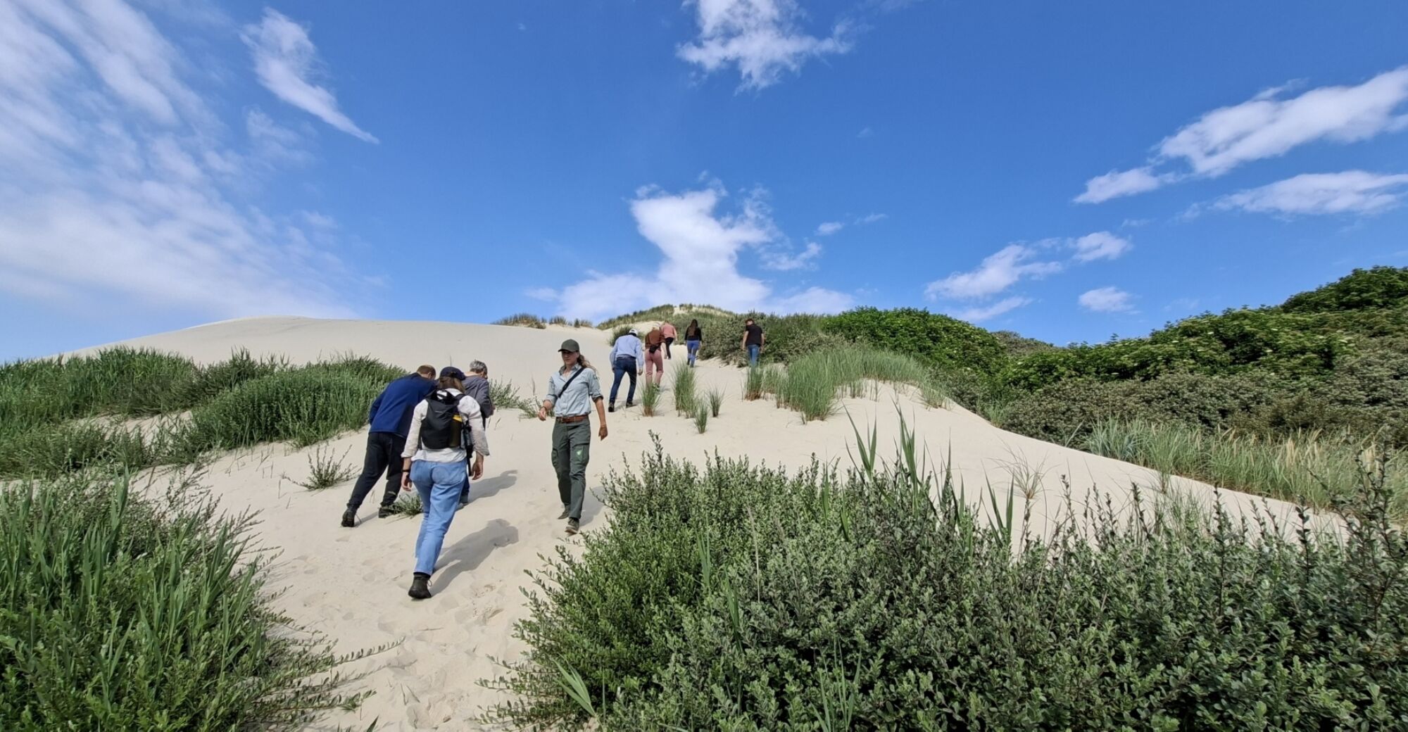 Boschplaat duin groep beklimmen