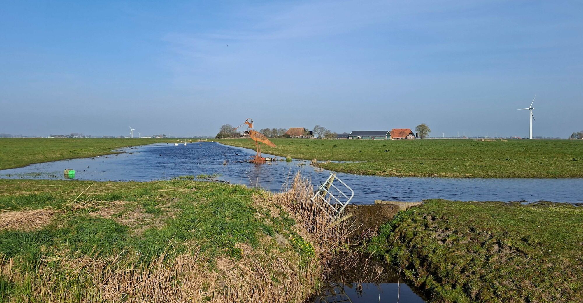 Beeld grutto