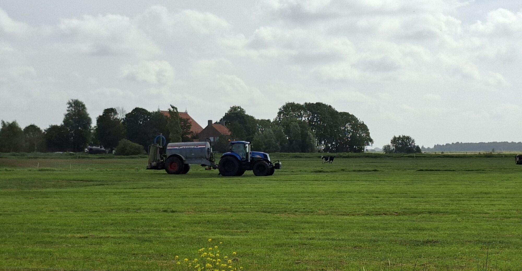 Mest uitrijden1