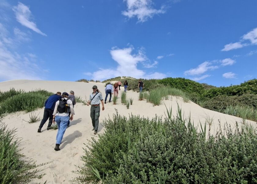 Boschplaat duin groep beklimmen