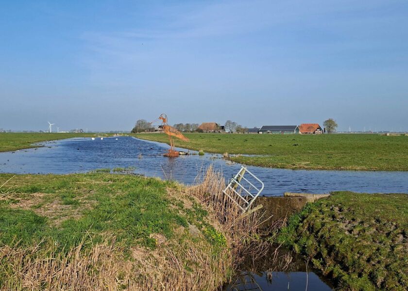 Beeld grutto